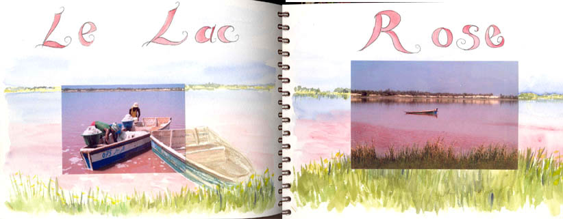 lac rose