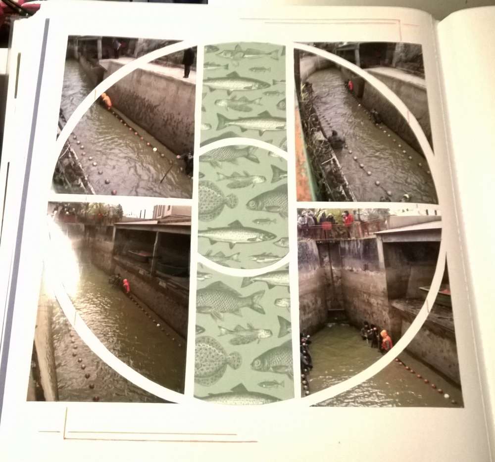 Lachaussée, les poissons sont dans le filet