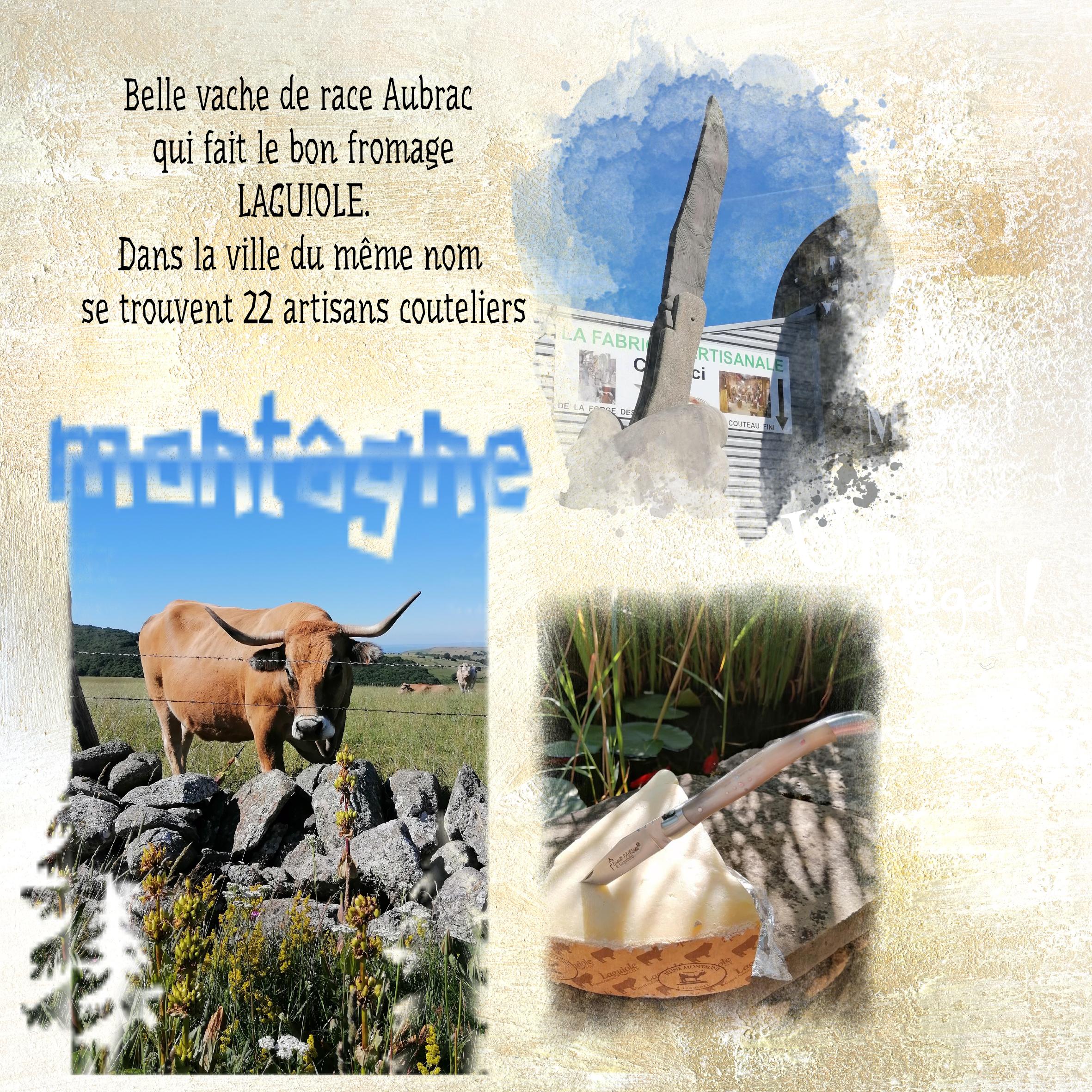 laguiole fromage.jpg