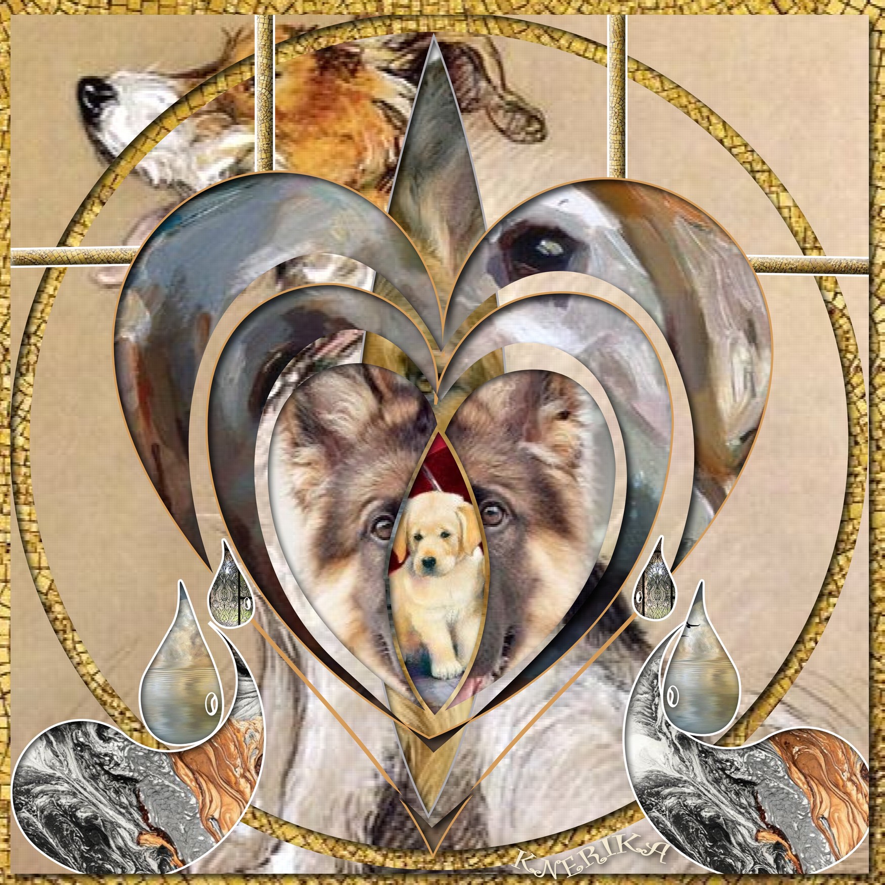 laissez vous attendrir !  Anne Marie.jpg