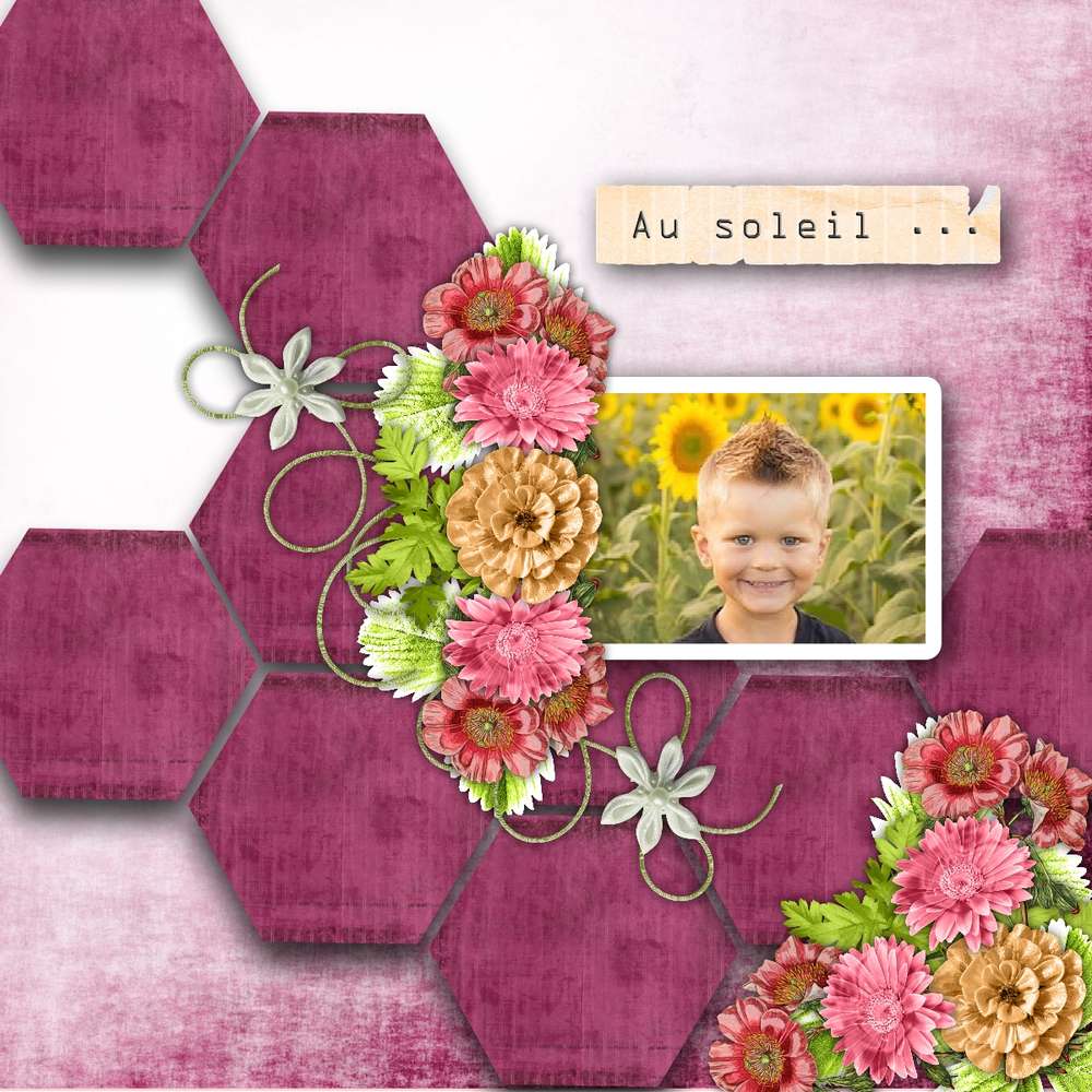 Laissons entrer le soleil