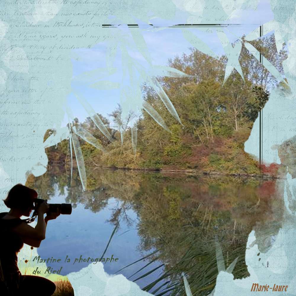 L'Alsace en photos .... Le Ried photo de Martine