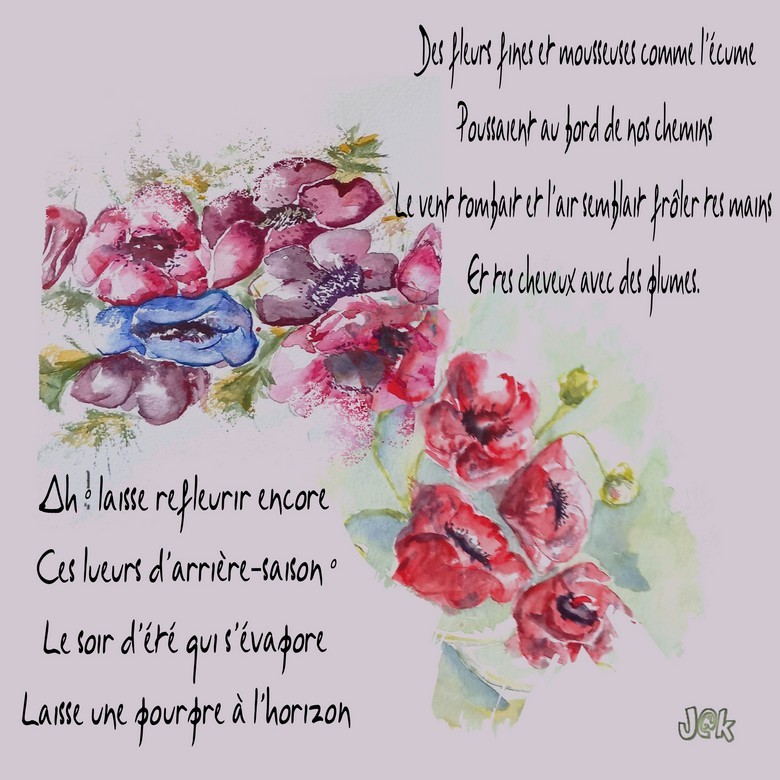 Lamartine et  Verhaeren aqua perso anemone coquelicots.jpg