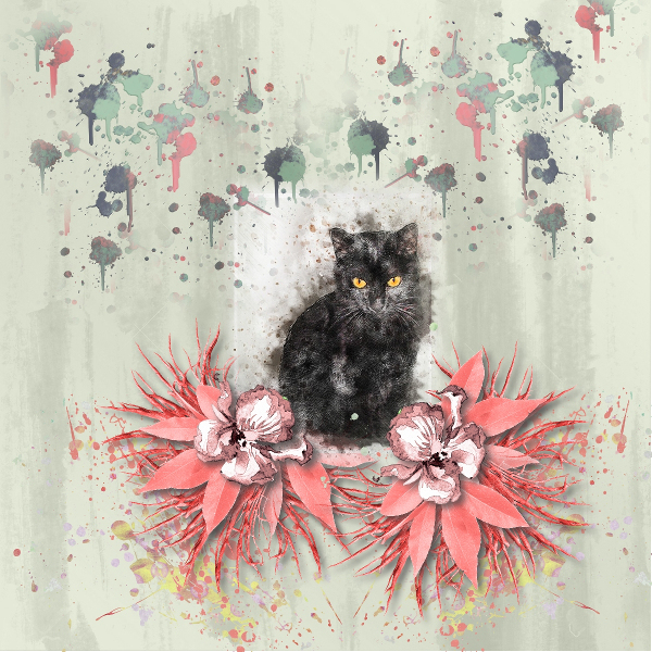 L'amour de l'océan ...