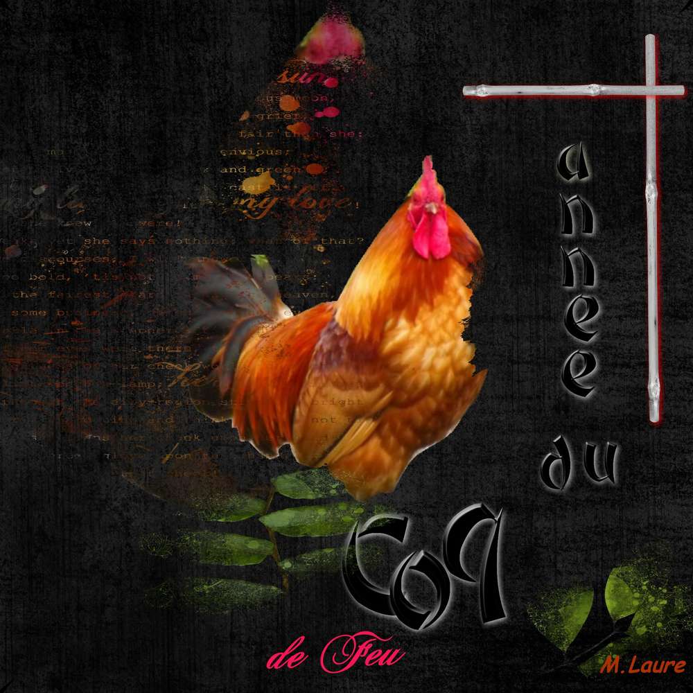 L'année du Coq de Feu
