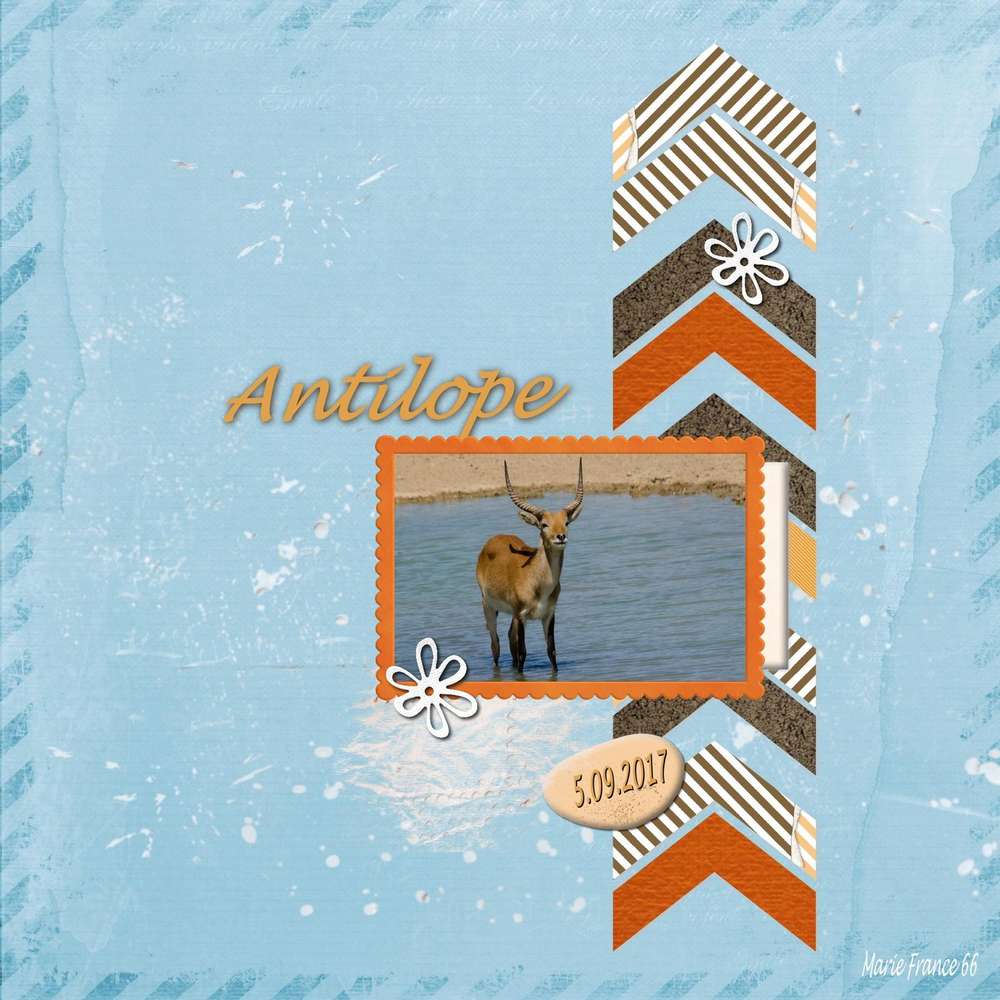 L'ANTILOPE