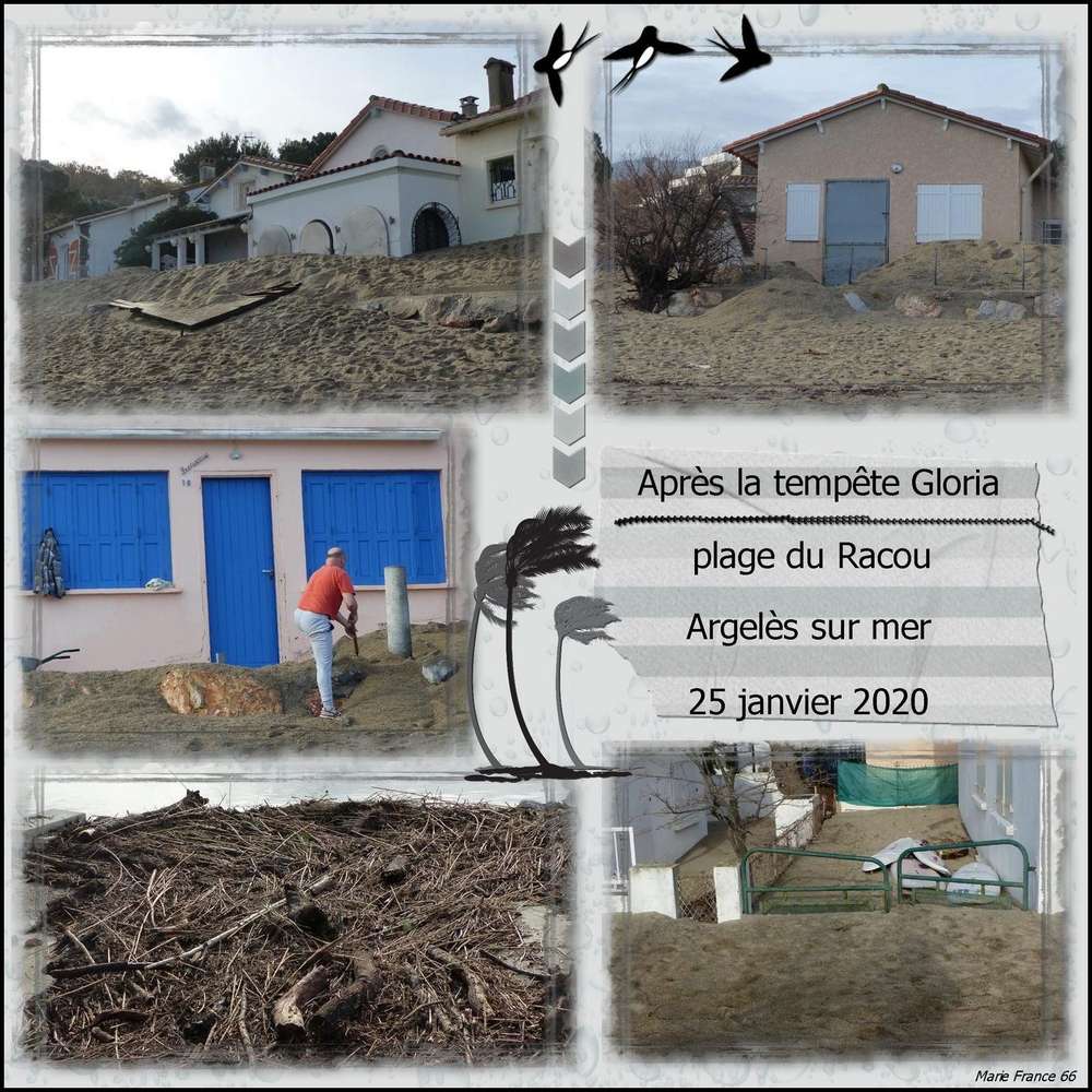 L'APRES TEMPETE GLORIA