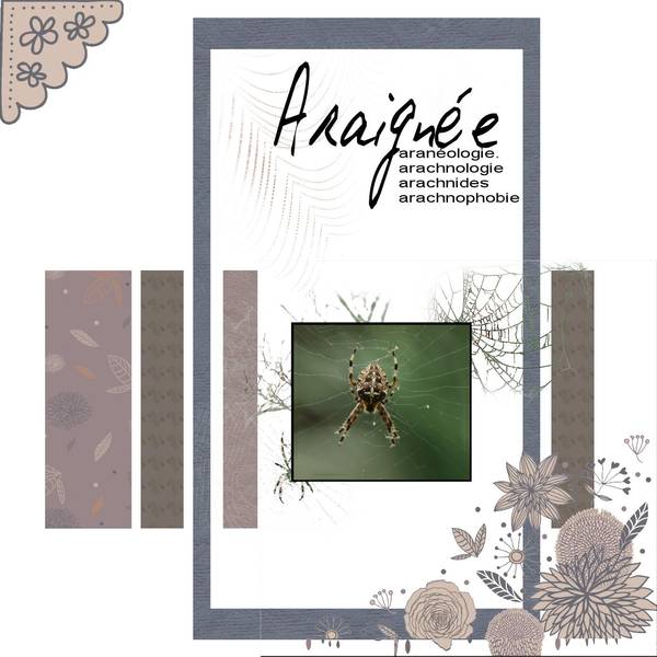 l'araignée