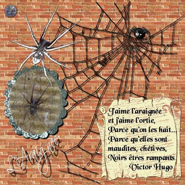 L'Araignée01_Défi_Petiote