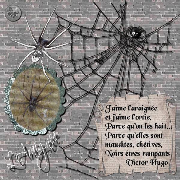 L'Araignée02_Défi_Petiote15340