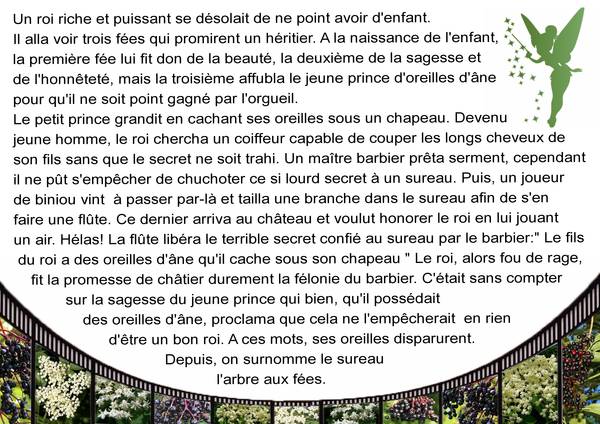 L'ARBRE AUX FEES - CONTE BRETON