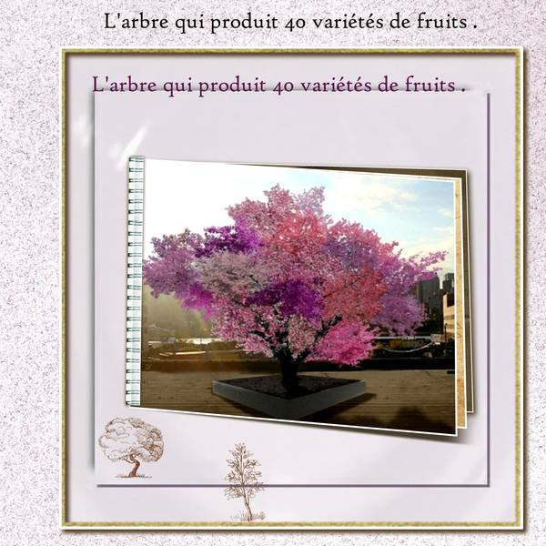 l'arbre greffé .