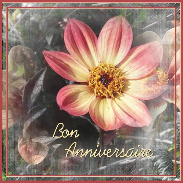 LAREL - BON ANNIVERSAIRE