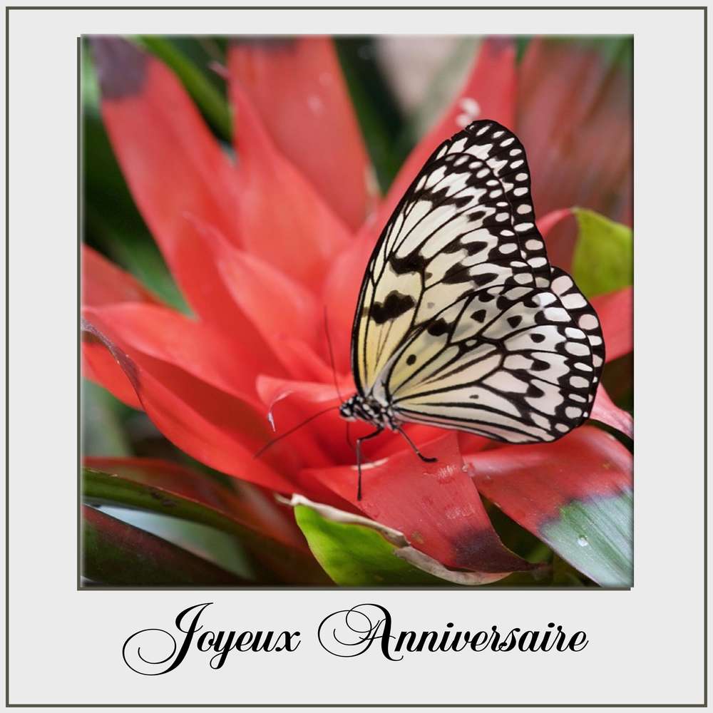 LAREL - JOYEUX ANNIVERSAIRE