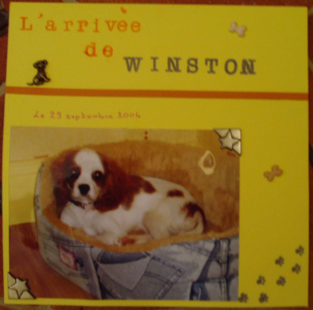 L'arrivée de Winston