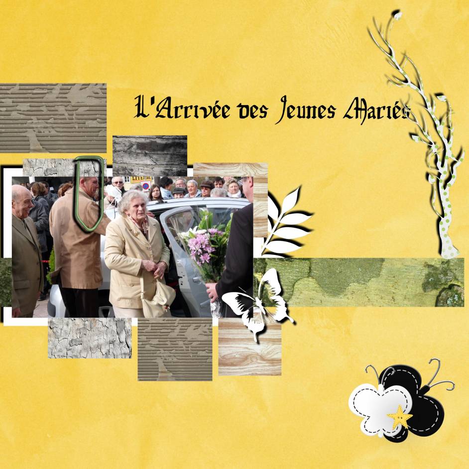 l'arrivé du cortège devant la mairie