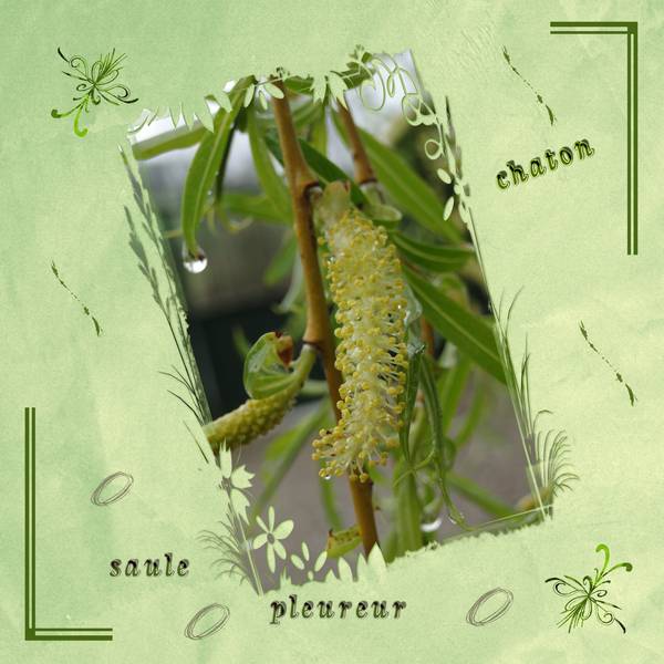 Laurette - défi semaine 09 vert