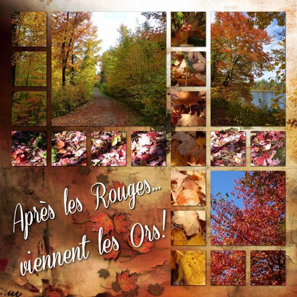 L'automne 2012 à Québec