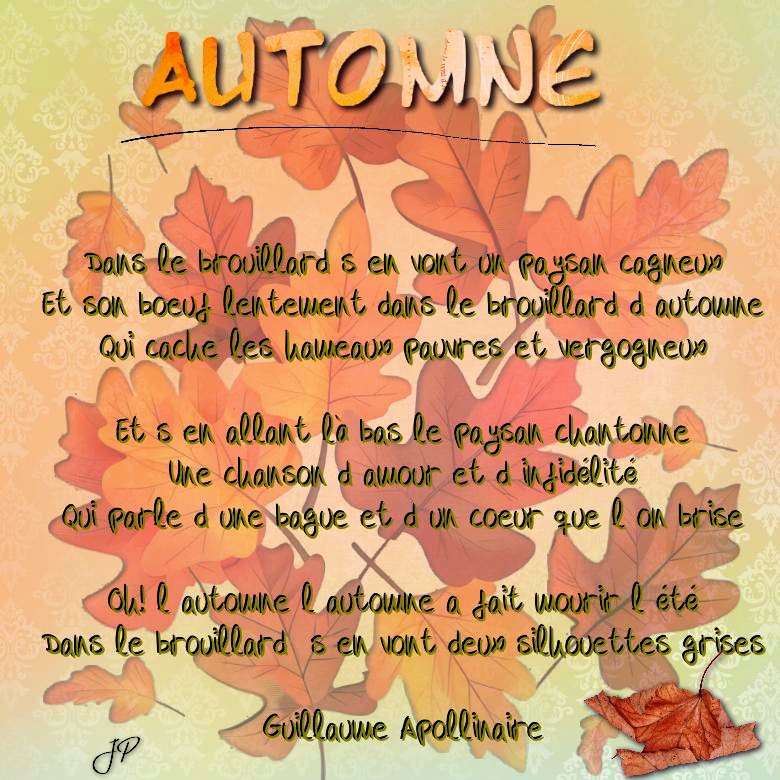 l'automne a fait mourir l'été.jpg