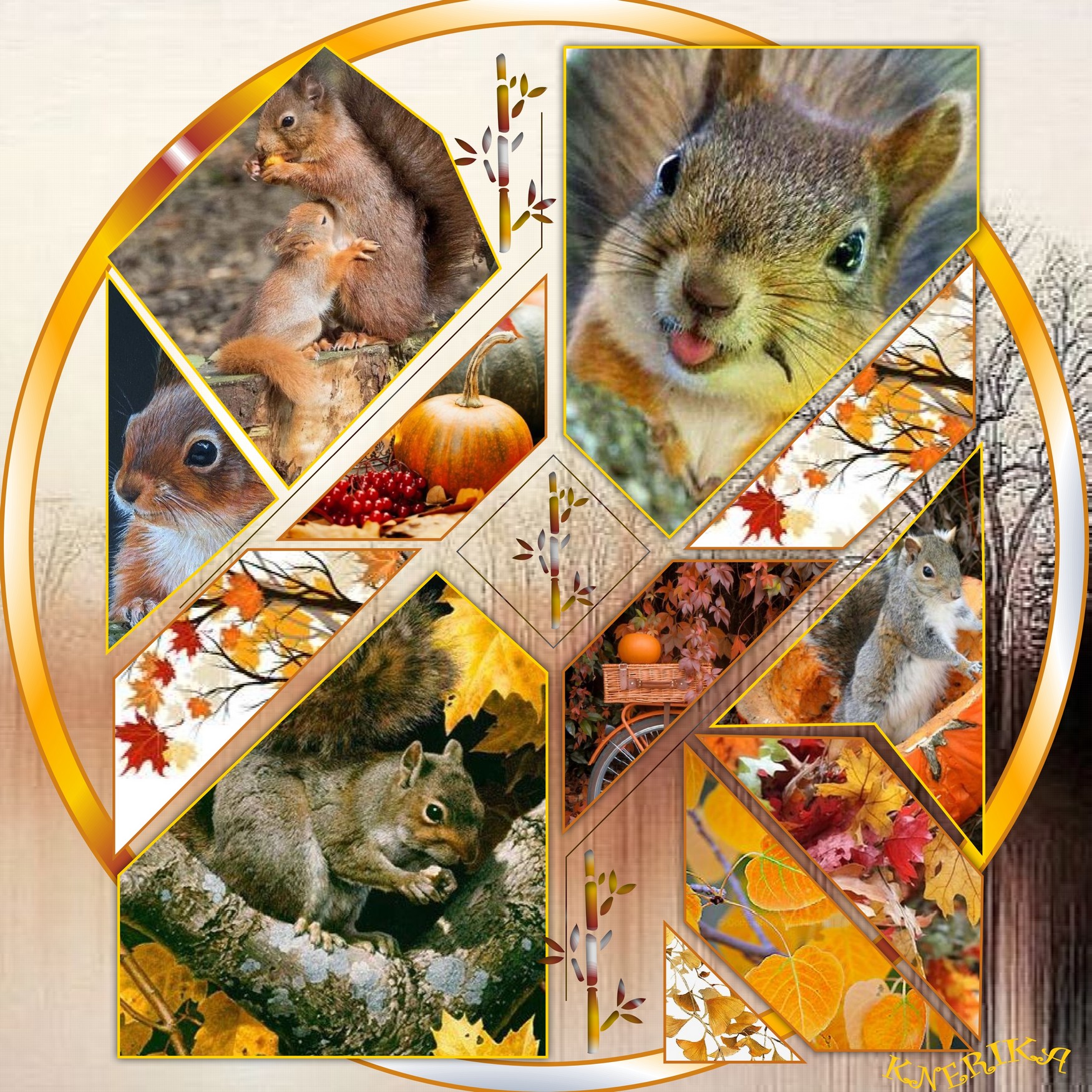 l'automne des écureuils_d'Anne Marie.jpg