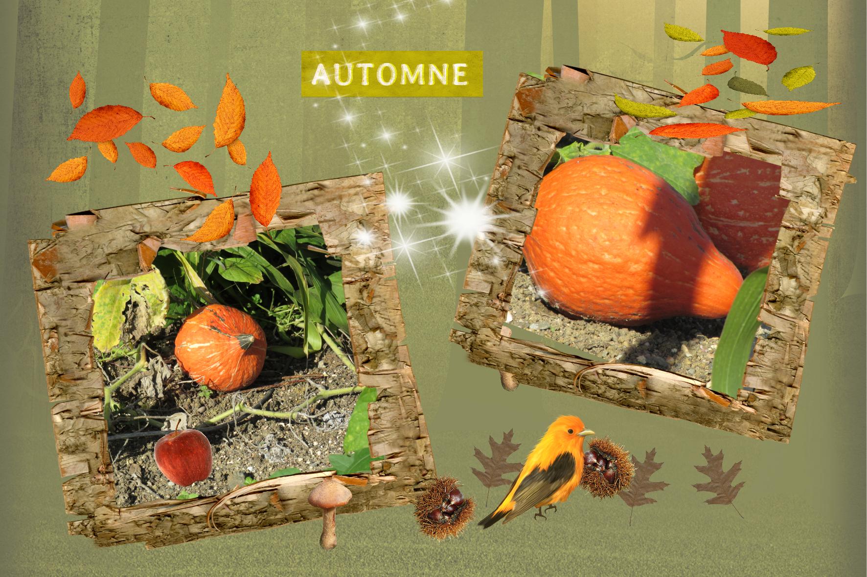 L'automne.jpg