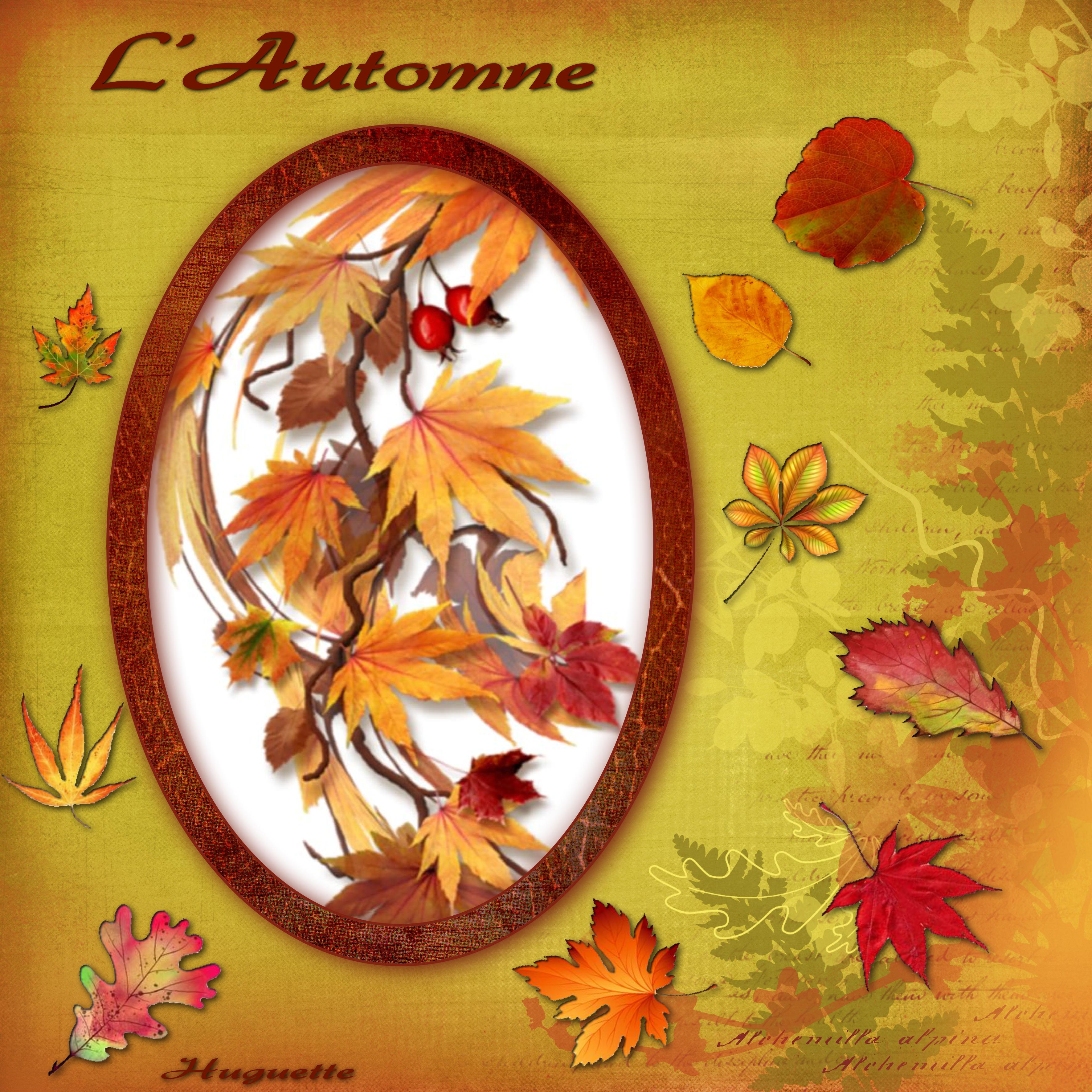 L'Automne .jpg