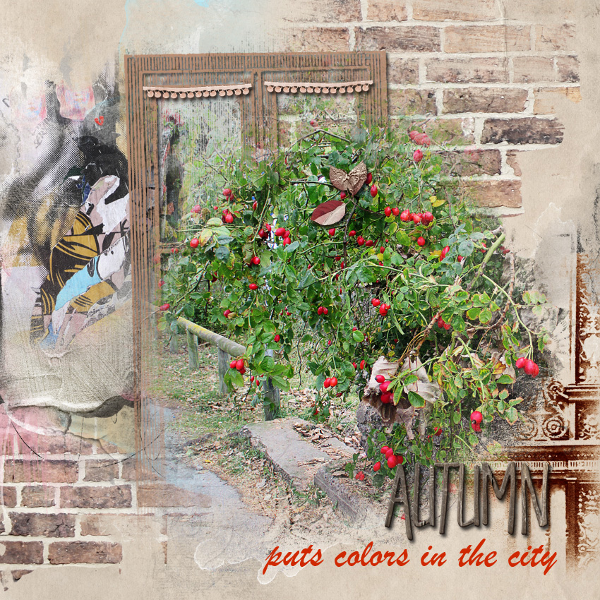 L'automne met des couleurs dans la ville