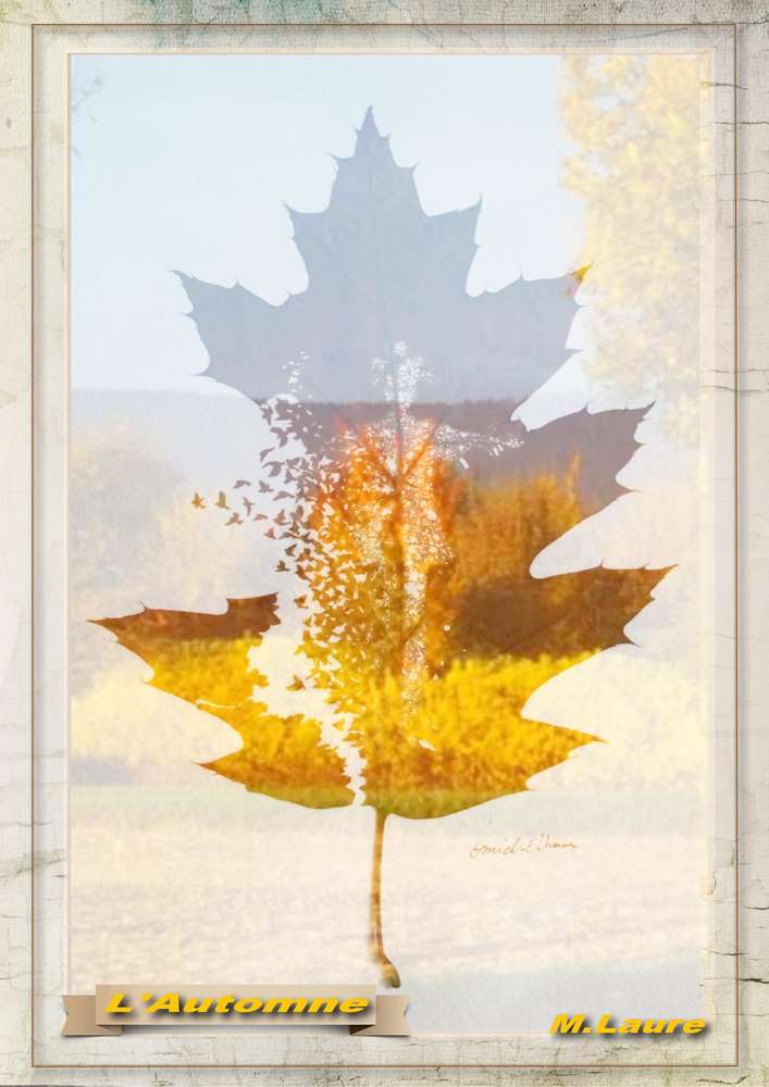 L'automne toujours  .......