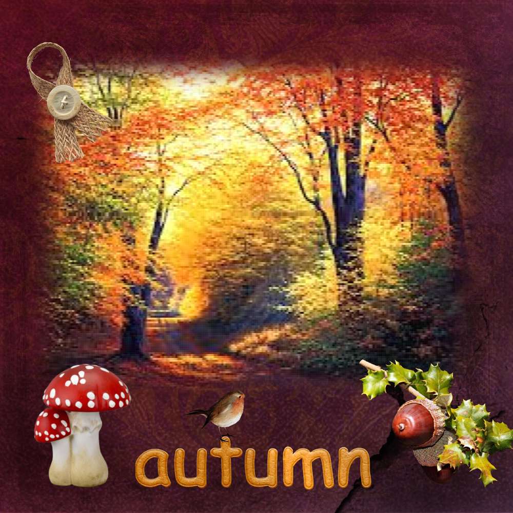 l'automne....