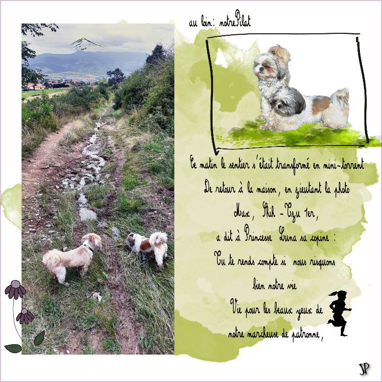 le  3 7 risque de la marche.jpg