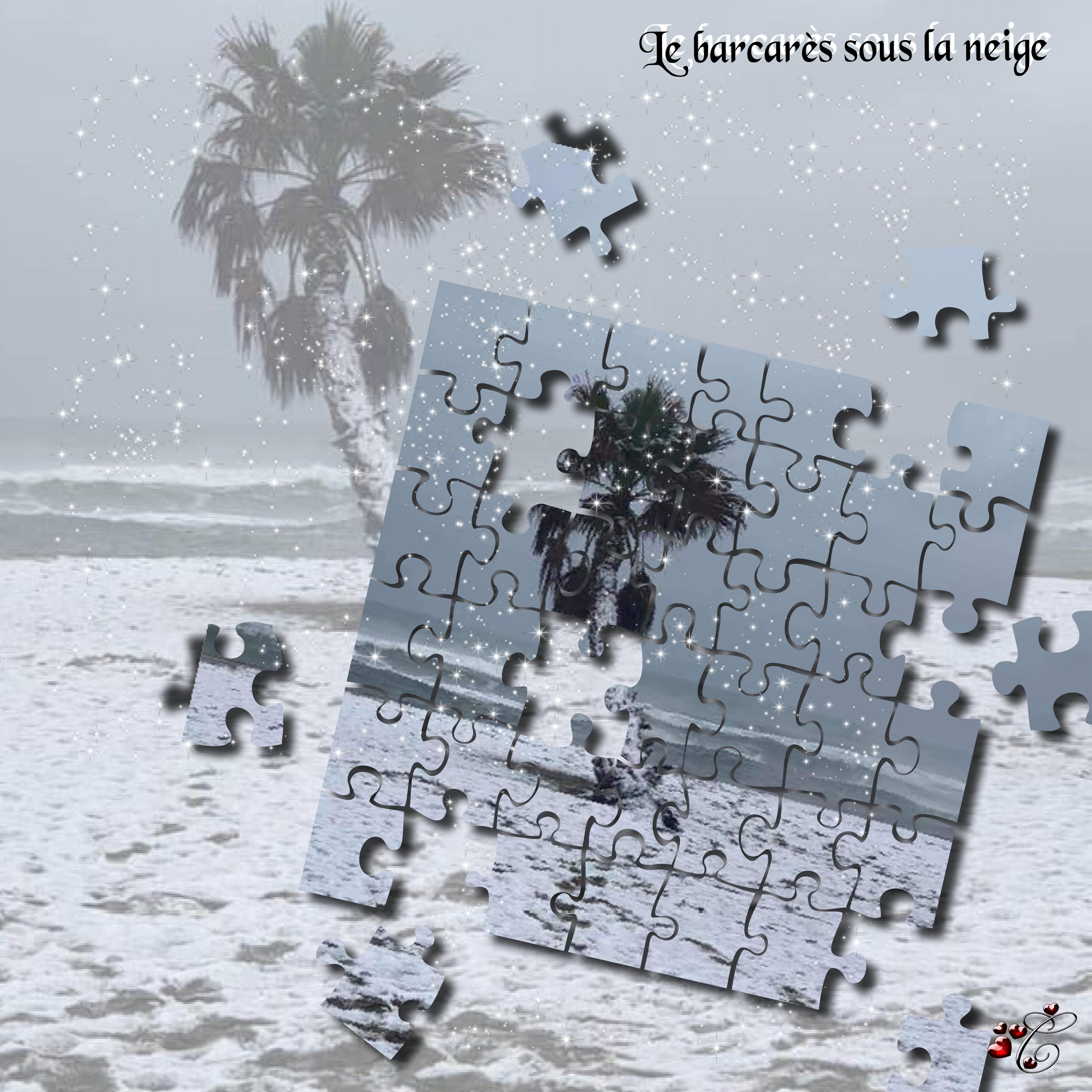 le Barcarès sous la neige.jpg