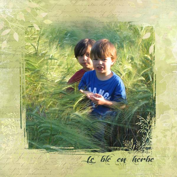 le blé en herbe