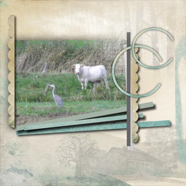 Le boeuf et le Héron