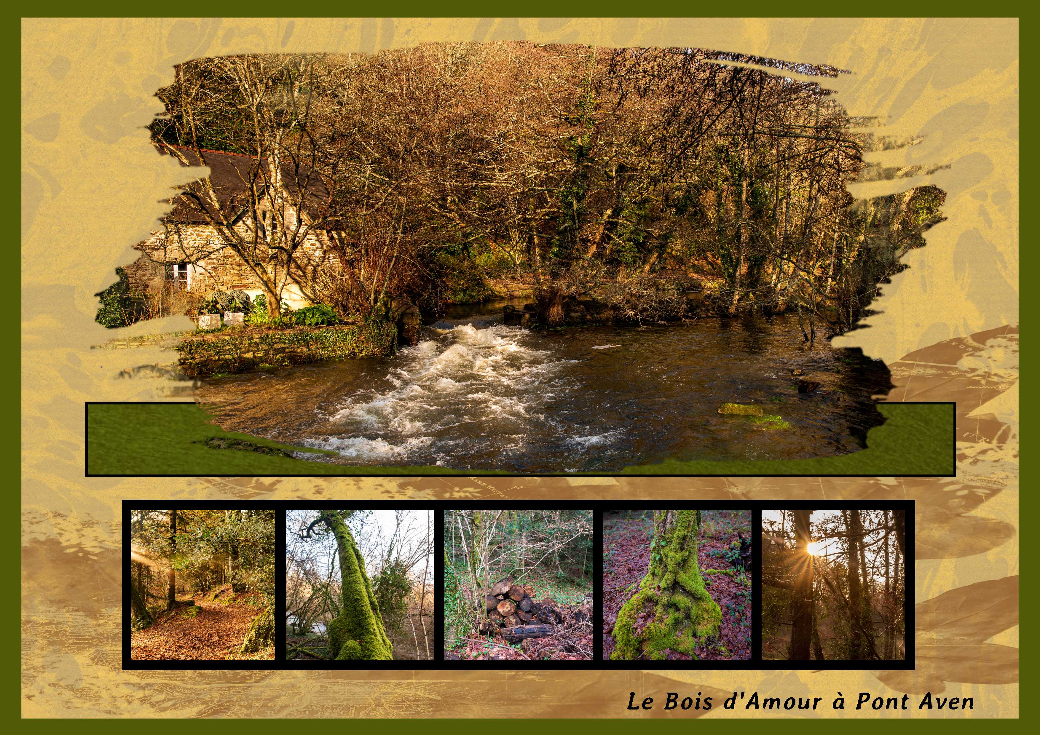 Le bois d'Amour Pont Aven.jpg