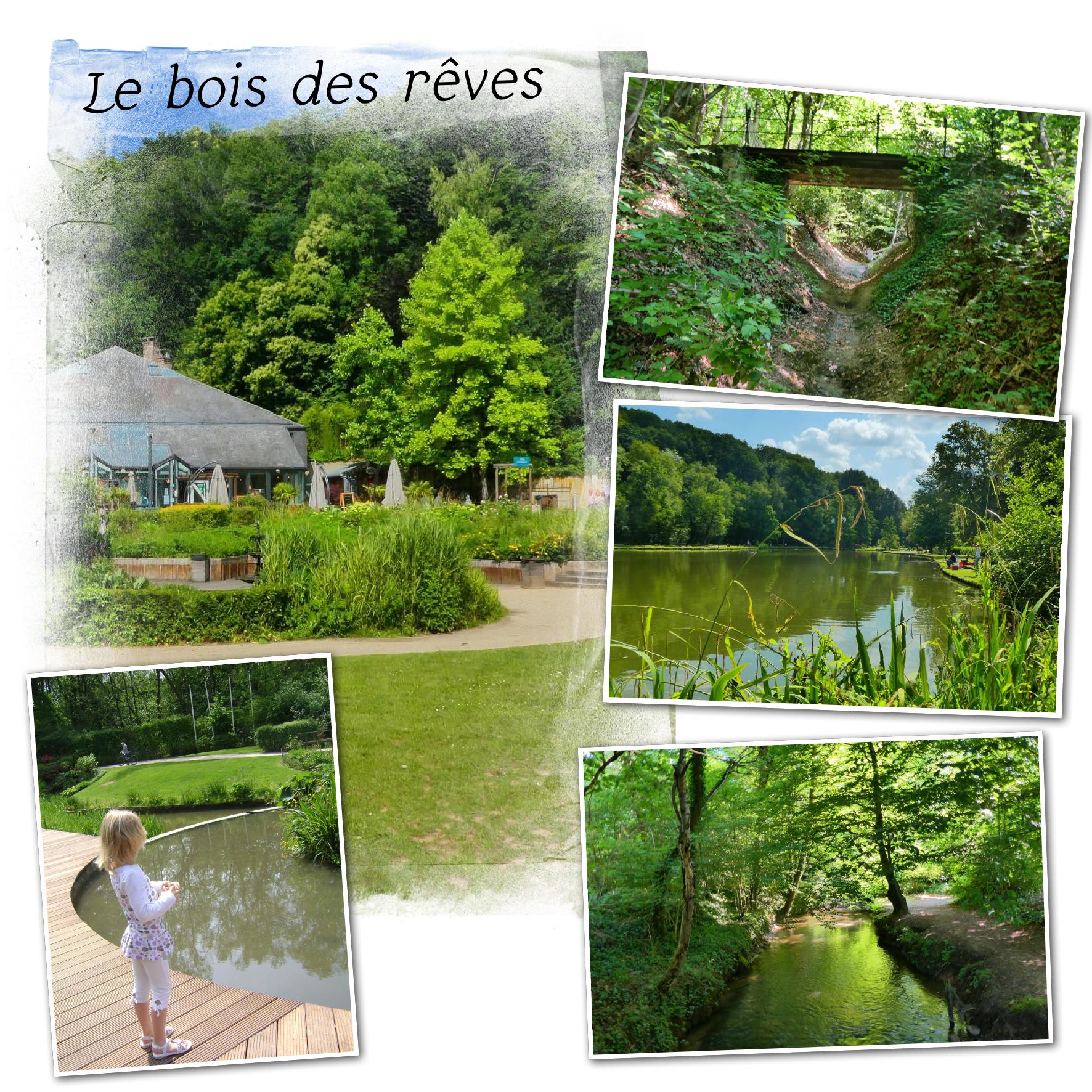 Le bois des rêves.jpeg