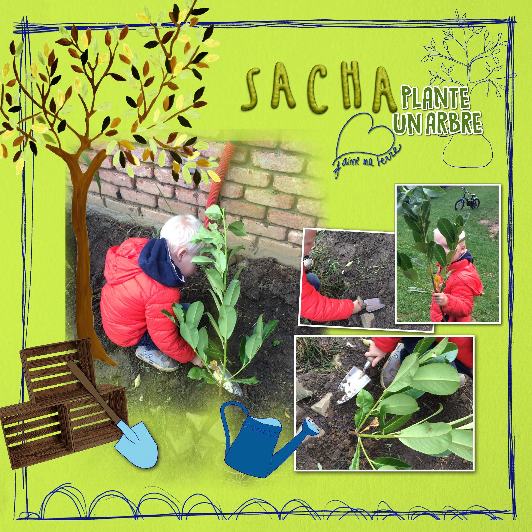 Le bois prend racine