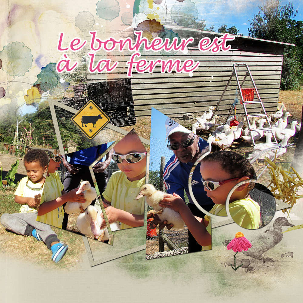 Le bonheur est à la ferme