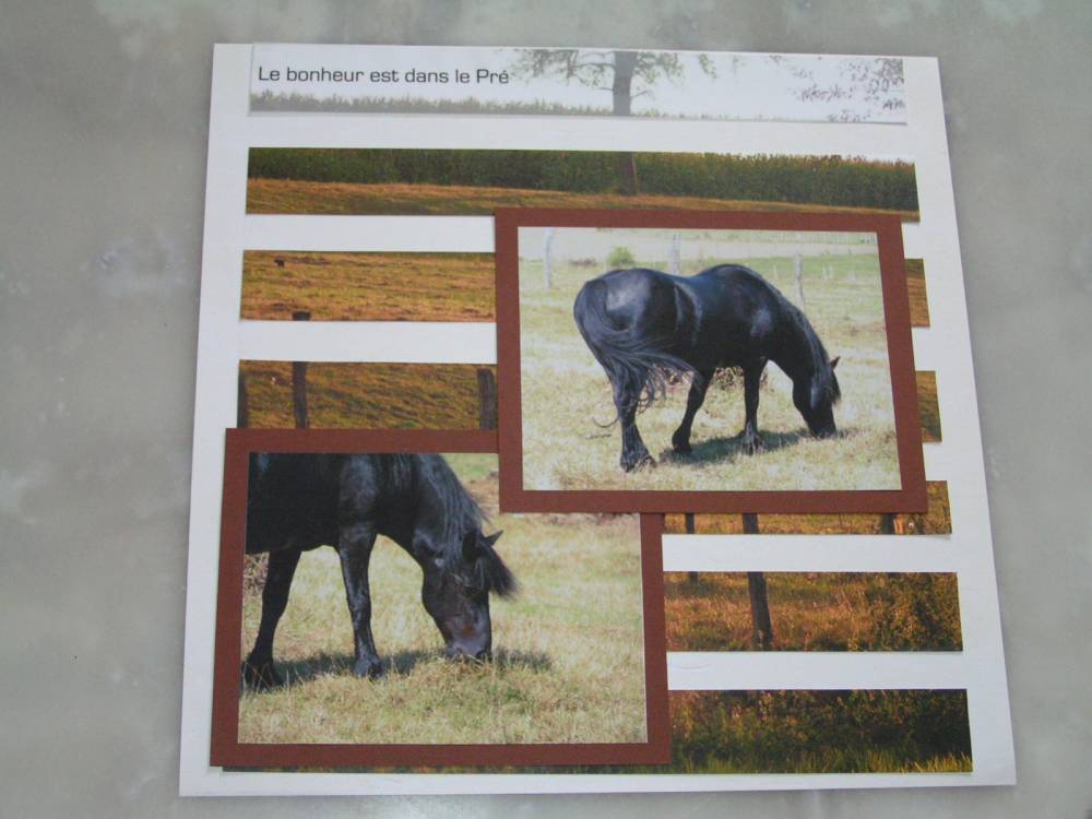 Le bonheur est dans le pré