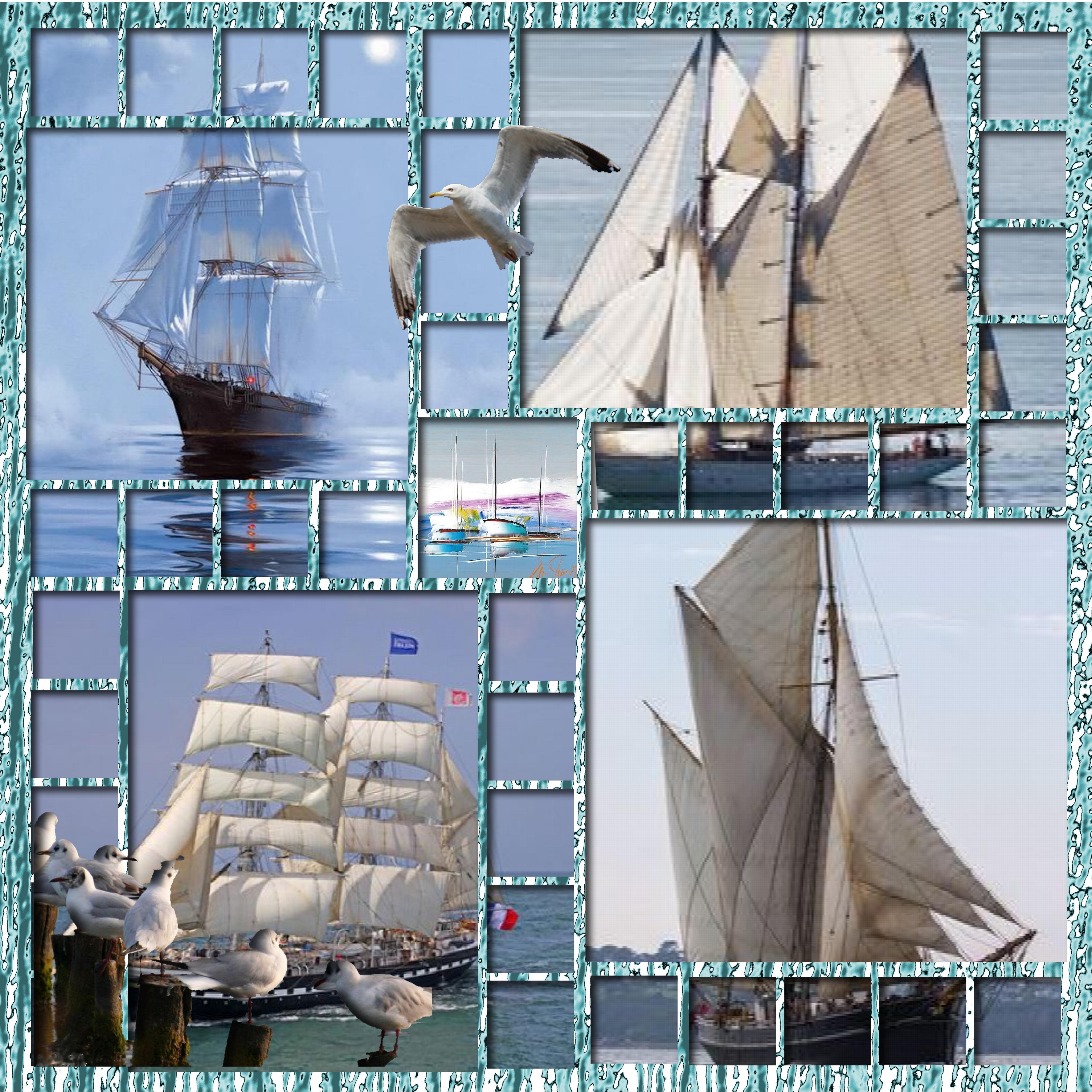 le  bord de la mer.jpg