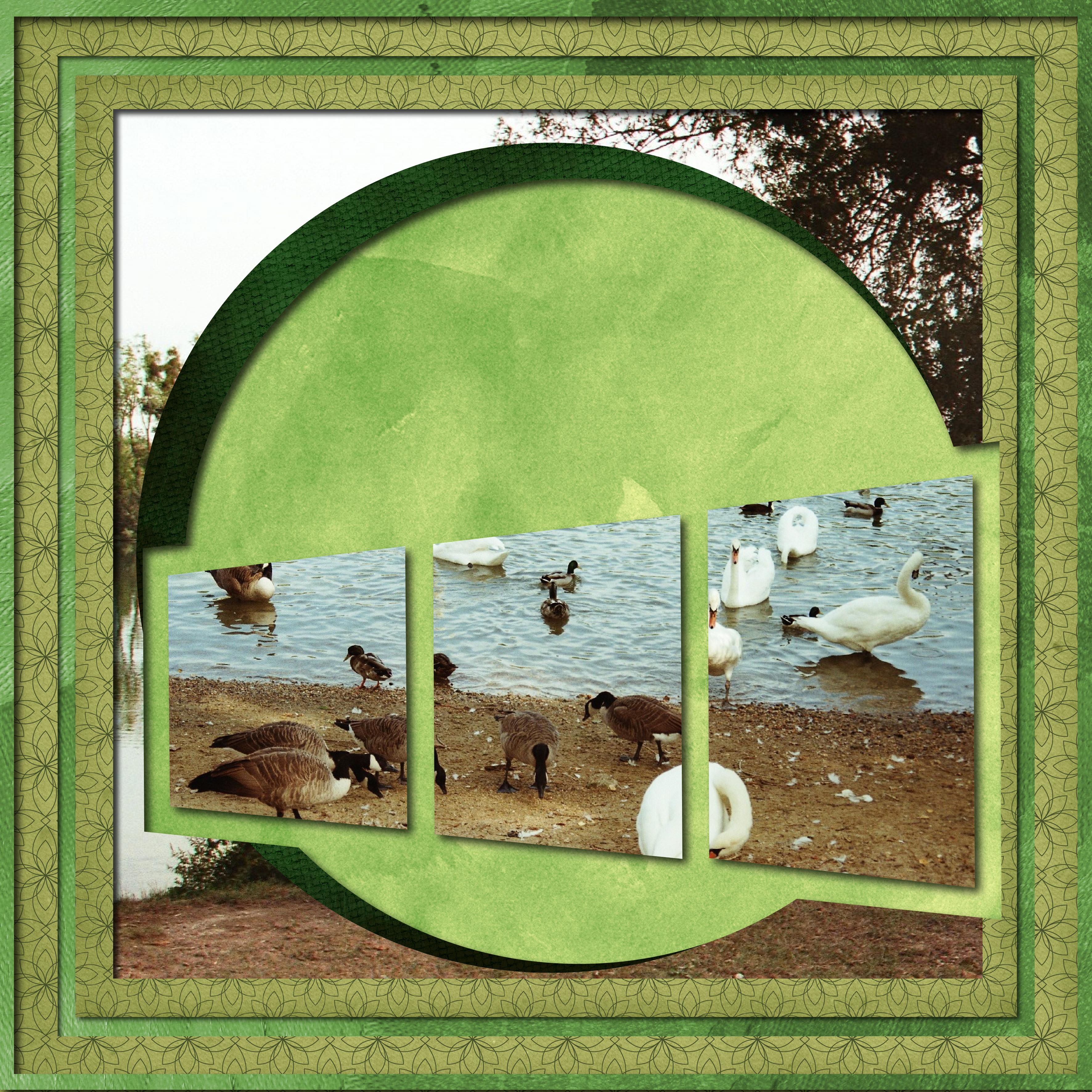 le bord de seine.jpg