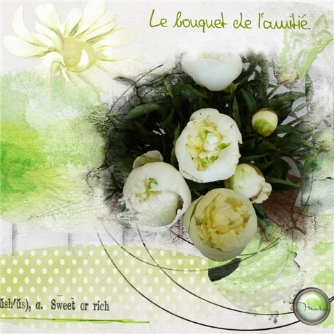 Le bouquet de l'amitié