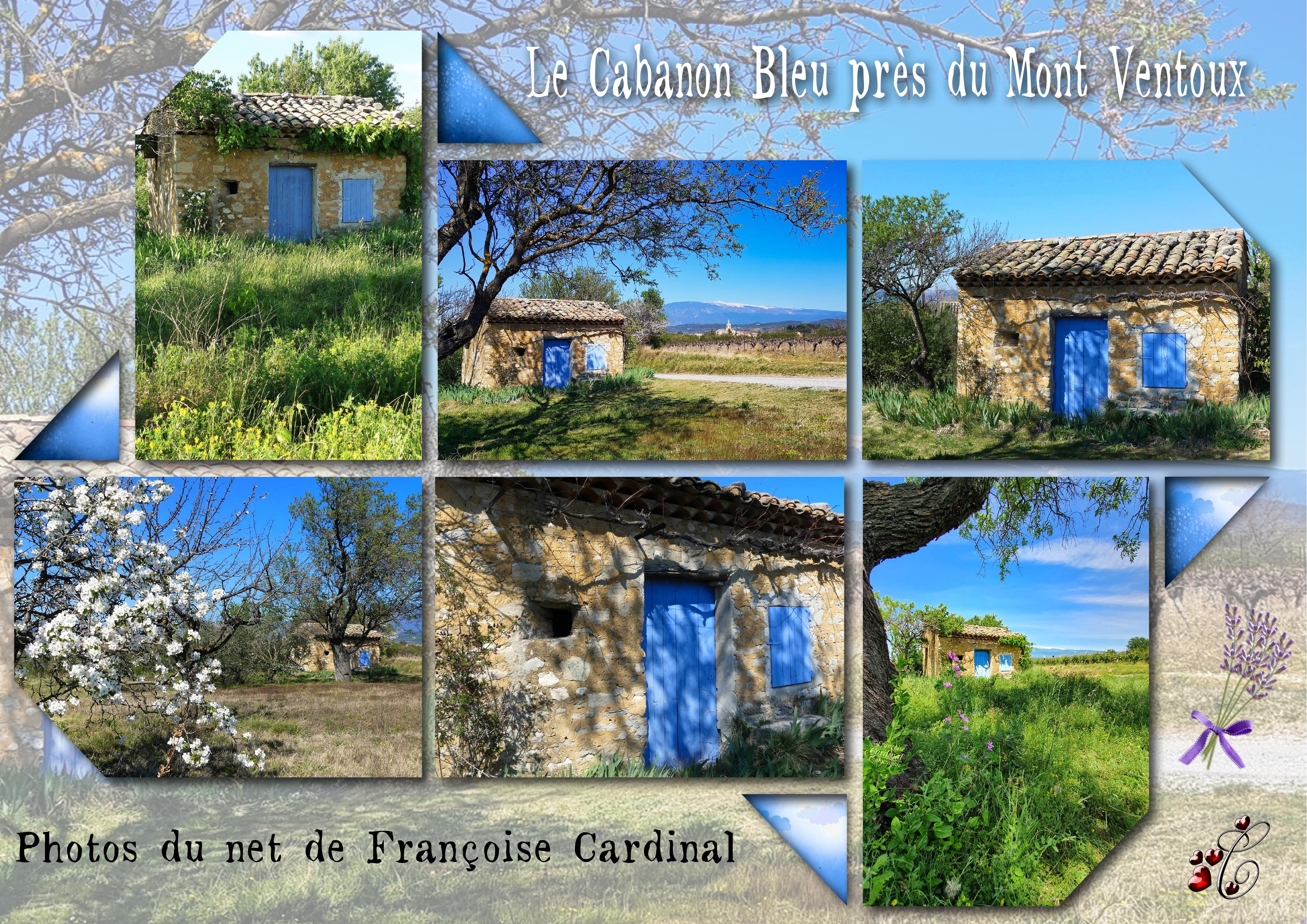 le cabanon bleu.jpg