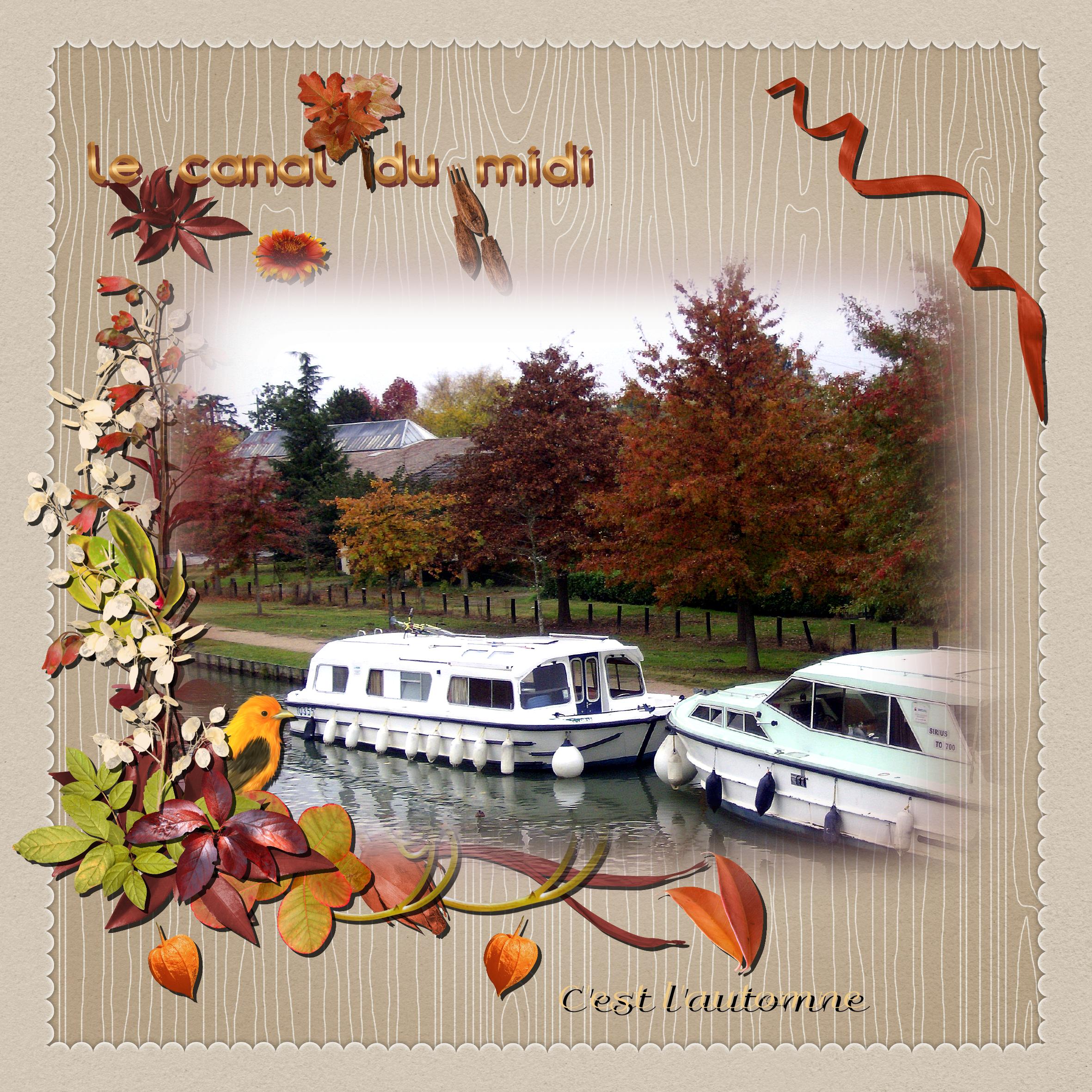 Le Canal du midi en automne.jpg