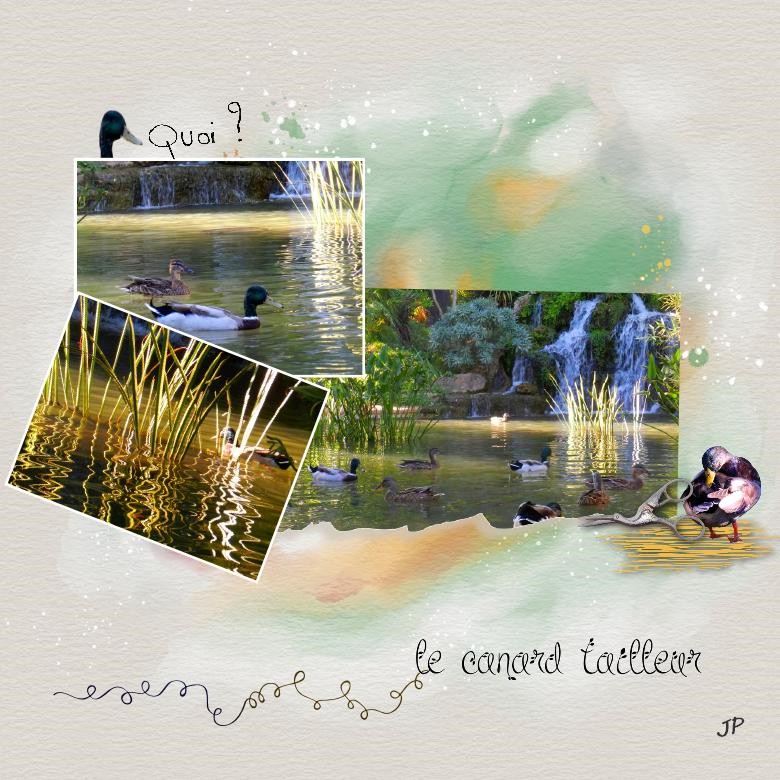 le canard tailleur