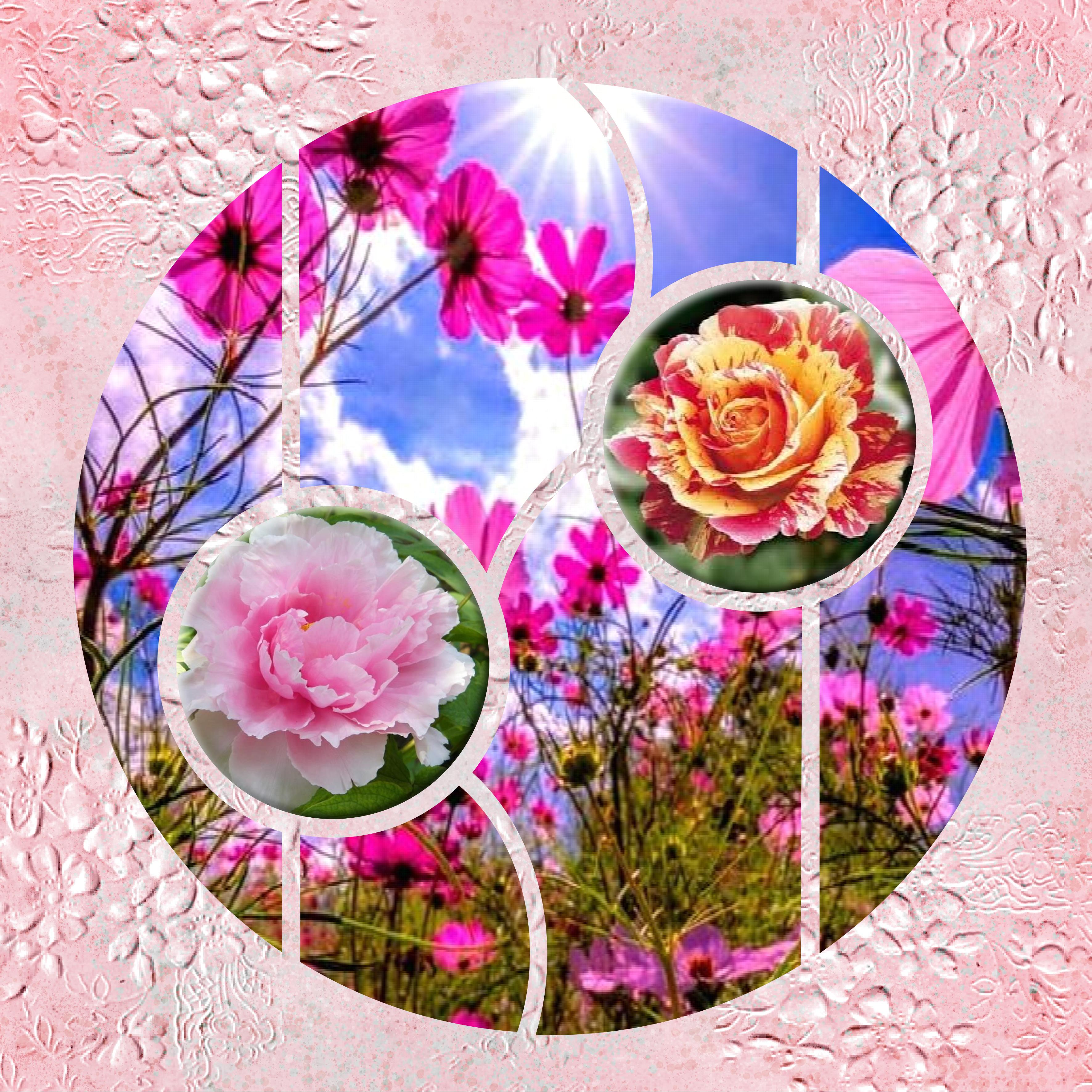 le cercle  fleuri.jpg