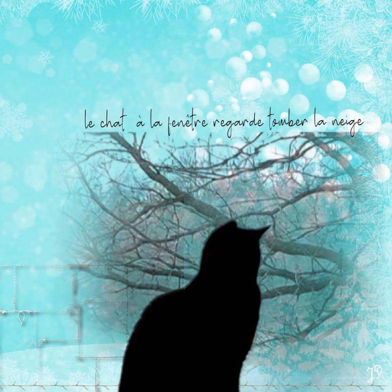 le chat à la fenêtre.jpg