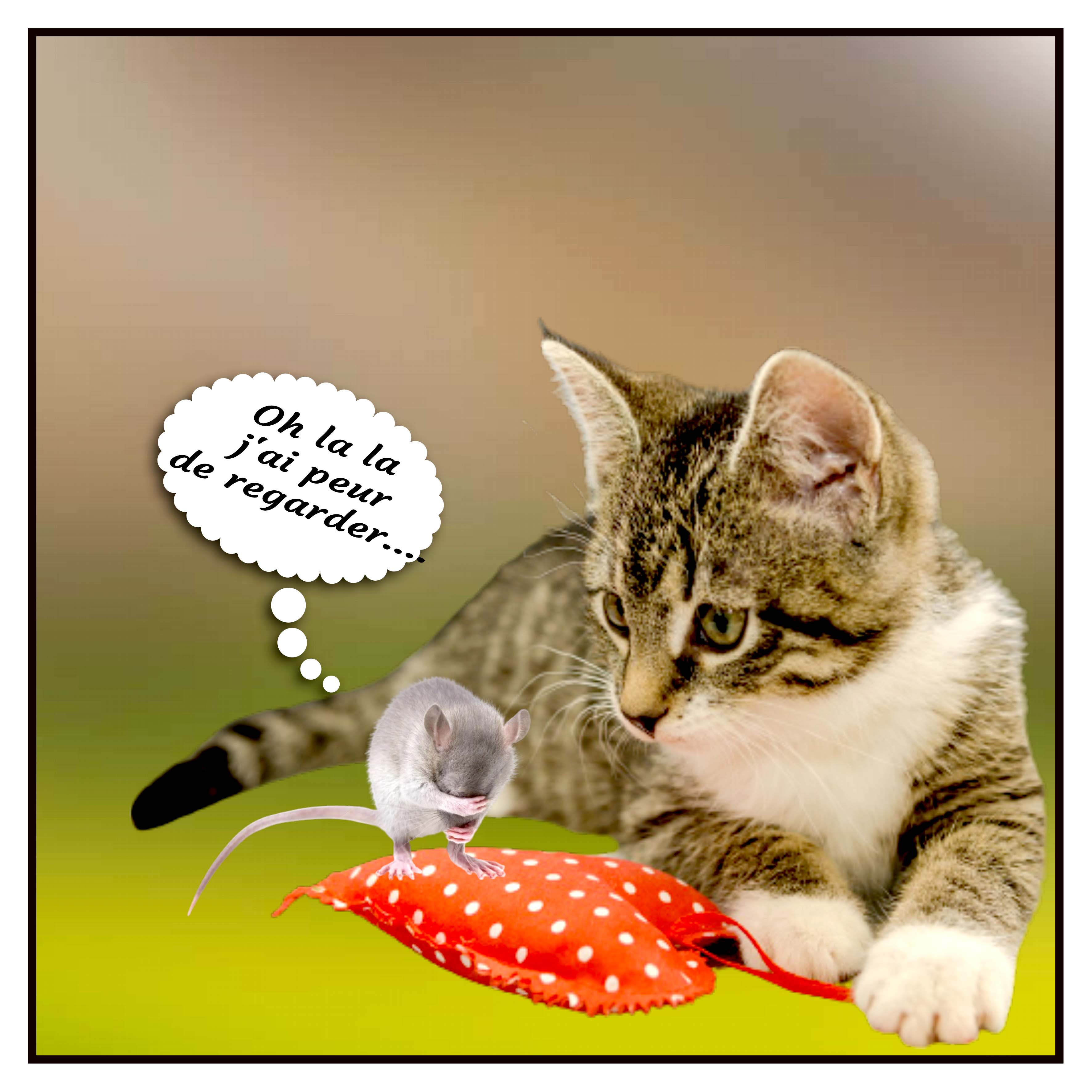 Le chat et la souris.jpg