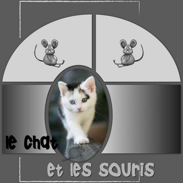 le chat et les souris