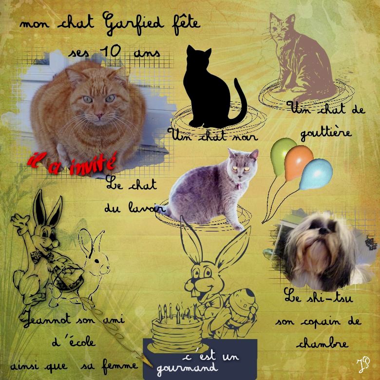 le chat fête ses 10 ans