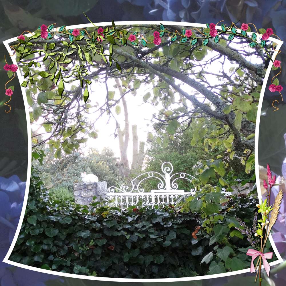 le chat monte la garde